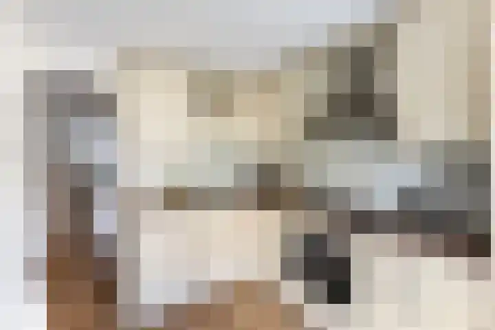 Kleimos 14 Zwolle thumbnail 10