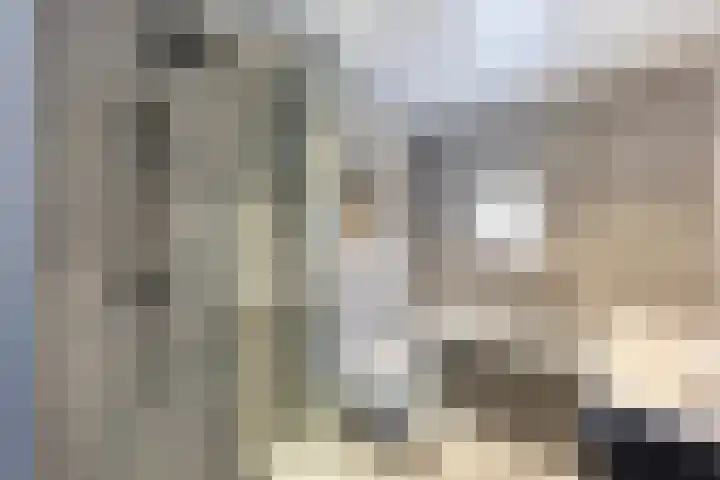 Kleimos 14 Zwolle thumbnail 21