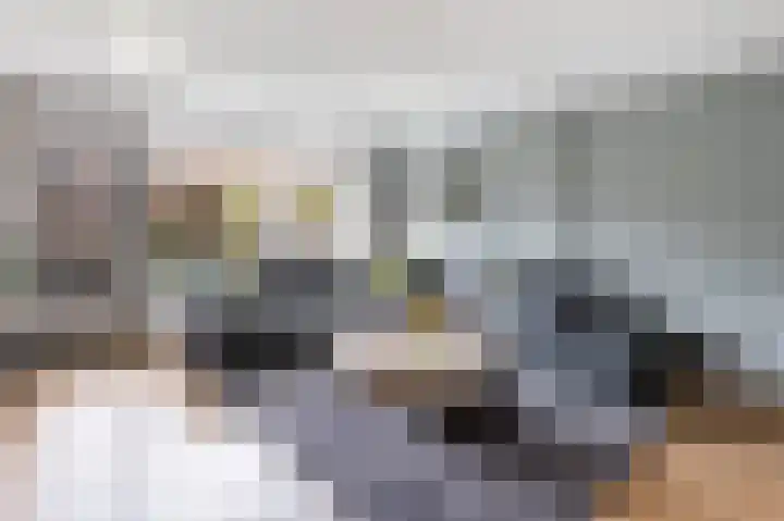 Kleimos 14 Zwolle thumbnail 4