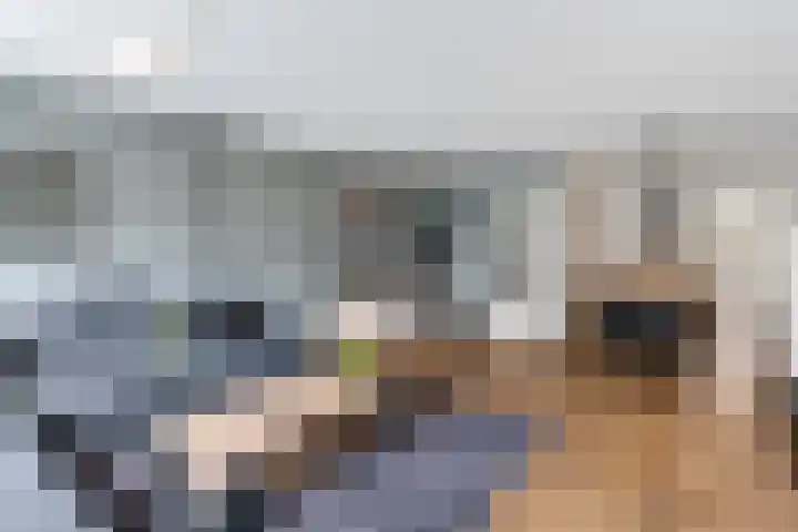 Kleimos 14 Zwolle thumbnail 6