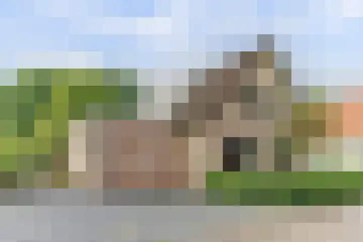 Klein Baal 1 Haalderen thumbnail 4