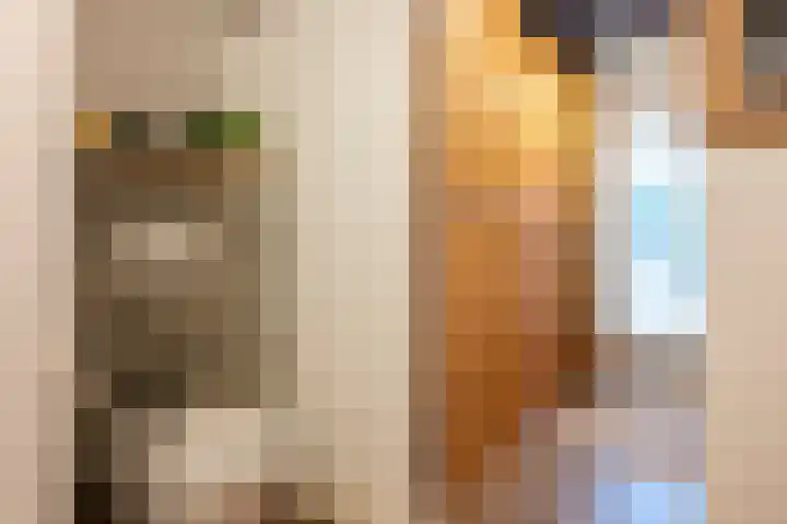 Klein Berkelaar 2 Echt thumbnail 17