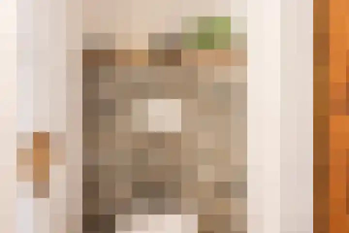 Klein Berkelaar 2 Echt thumbnail 20
