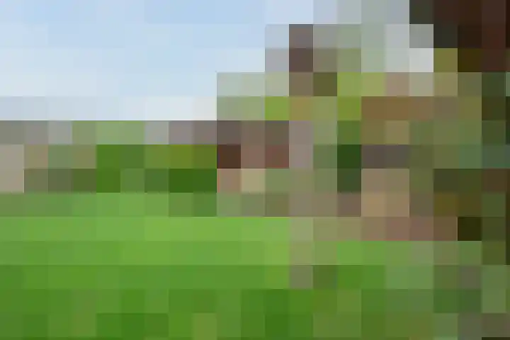 Klein Berkelaar 2 Echt thumbnail 45