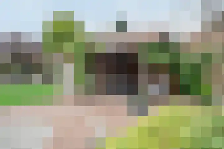 Klein Berkelaar 2 Echt thumbnail 49