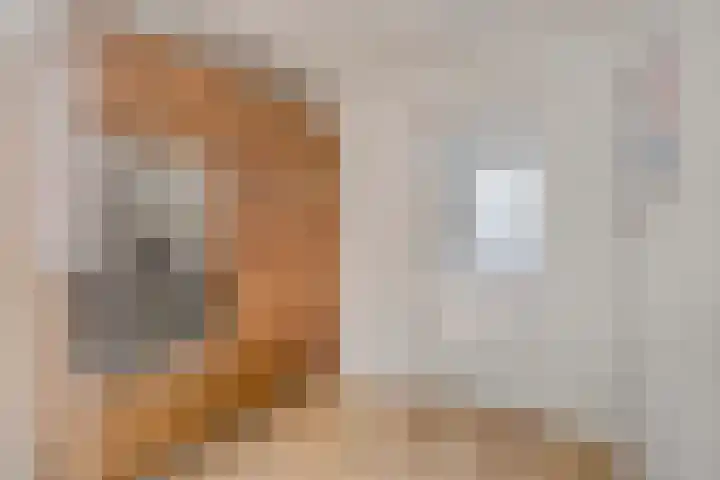 Klein Brabant 128 Vught thumbnail 12