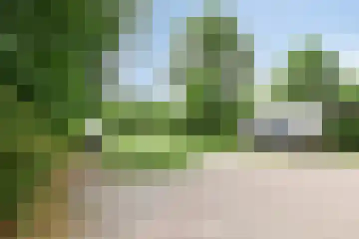 Klein Brabant 128 Vught thumbnail 18