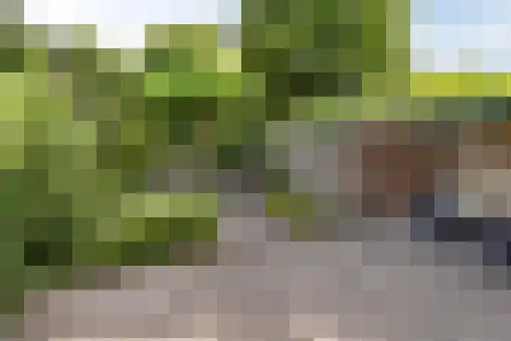 Klein Brabant 128 Vught thumbnail 18