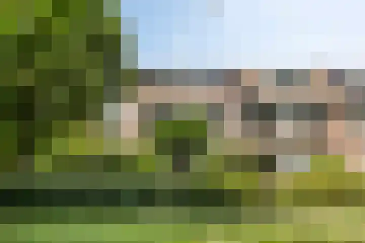Klein Brabant 128 Vught thumbnail 21