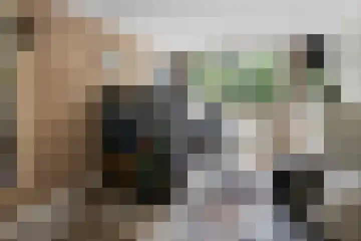 Klein Brabant 128 Vught thumbnail 22