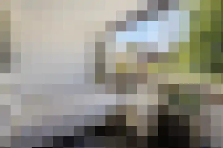 Klein Brabant 128 Vught thumbnail 26