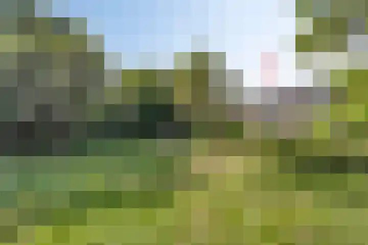 Klein Brabant 128 Vught thumbnail 36