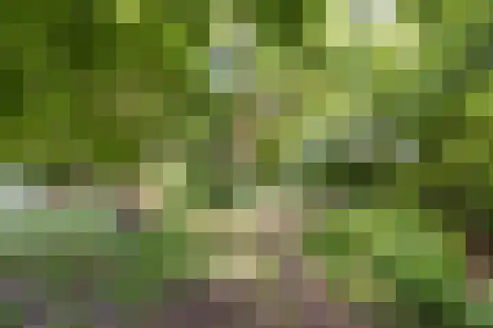 Klein Brabant 128 Vught thumbnail 38