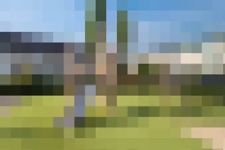 Klein Brabant 128 Vught thumbnail 39