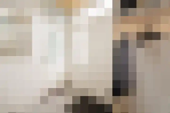 Klein Brabant 15 Vught thumbnail 10