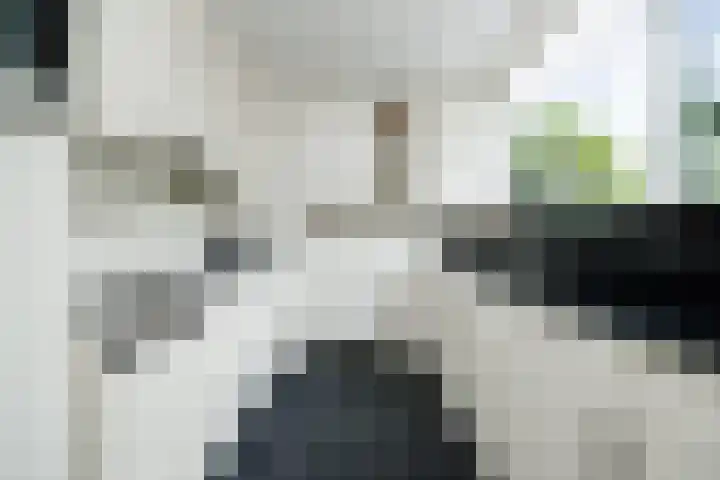 Klein Brabant 15 Vught thumbnail 15