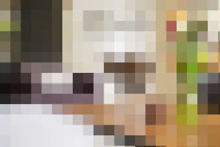 Klein Brabant 15 Vught thumbnail 18