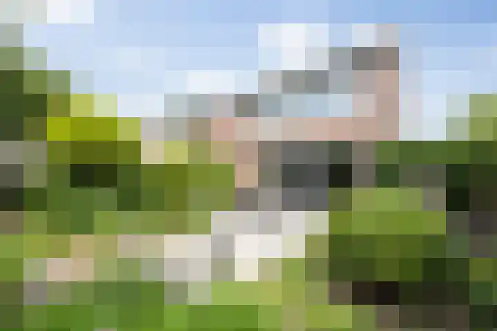 Klein Brabant 15 Vught thumbnail 21