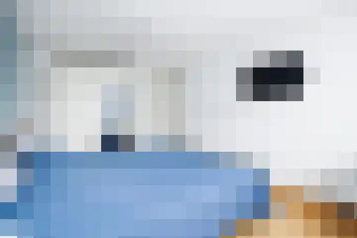 Klein Brabant 15 Vught thumbnail 27