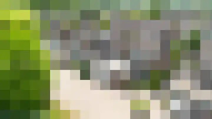 Klein Brabant 15 Vught thumbnail 41