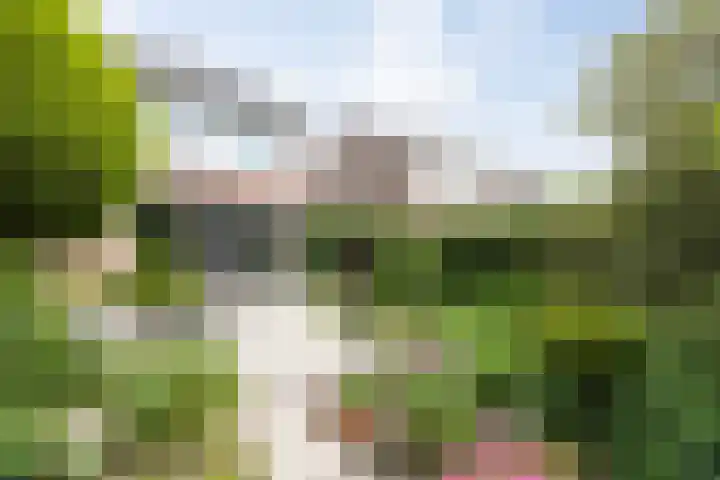 Klein Brabant 15 Vught thumbnail 45