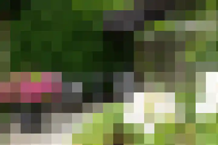 Klein Brabant 15 Vught thumbnail 46