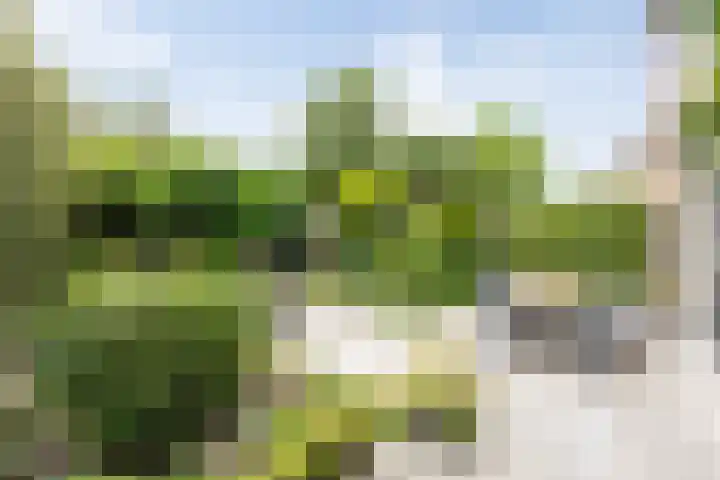 Klein Brabant 15 Vught thumbnail 47