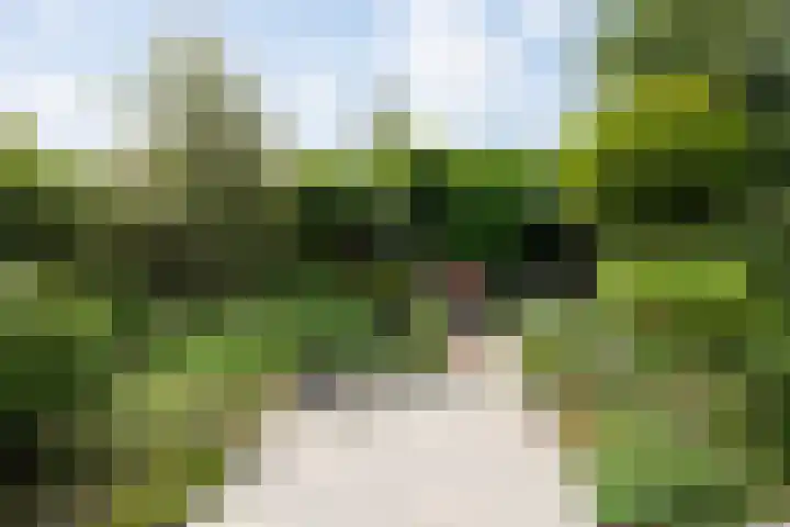 Klein Brabant 15 Vught thumbnail 49