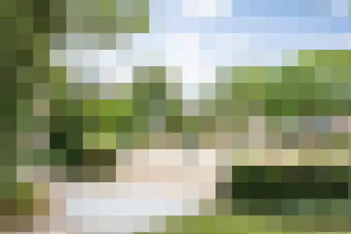 Klein Brabant 15 Vught thumbnail 51