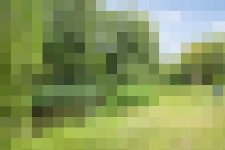 Klein Brabant 15 Vught thumbnail 52
