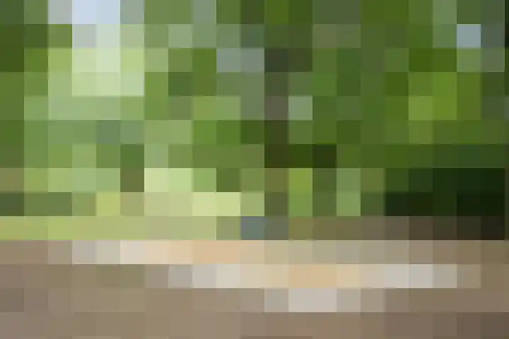 Klein Brabant 15 Vught thumbnail 53