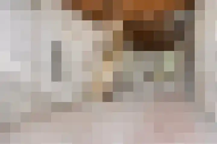 Klein-Coolstraat 5 Rotterdam thumbnail 8