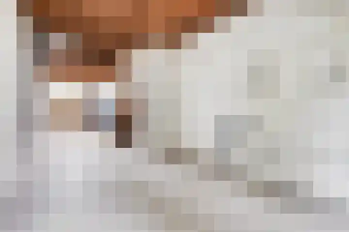 Klein-Coolstraat 5 Rotterdam thumbnail 9