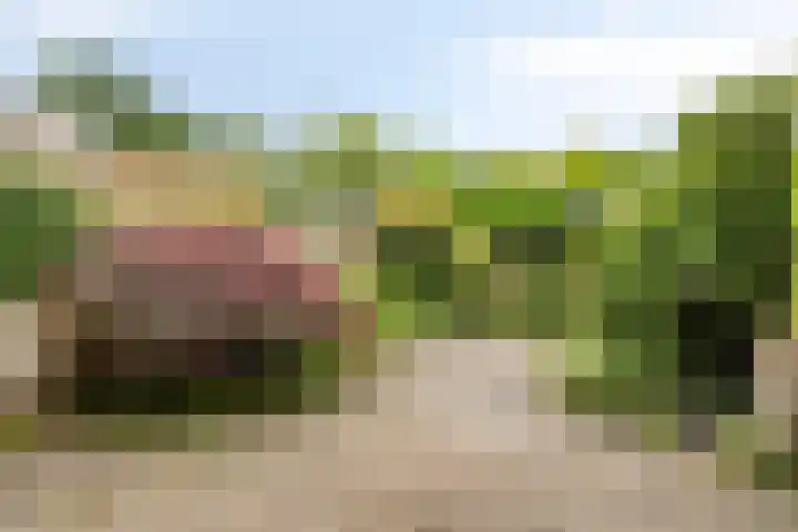 Klein Doesburg 28 Heerde thumbnail 18