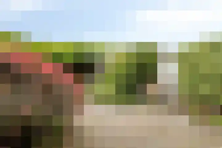 Klein Doesburg 28 Heerde thumbnail 19
