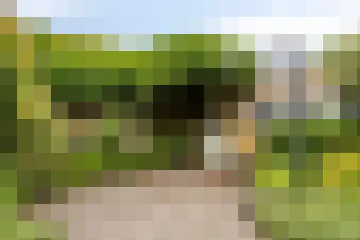 Klein Doesburg 28 Heerde thumbnail 21