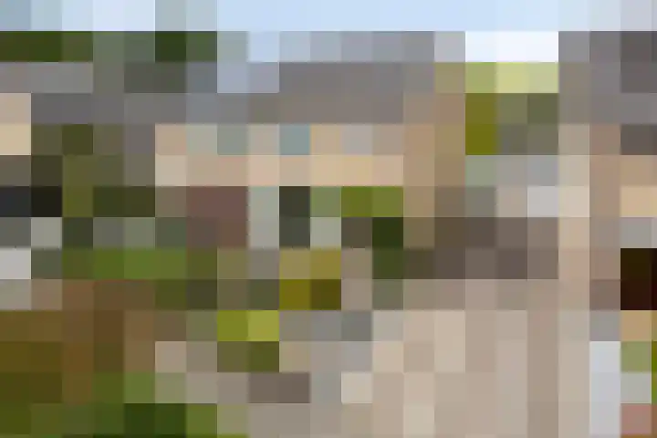 Klein Doesburg 28 Heerde thumbnail 22