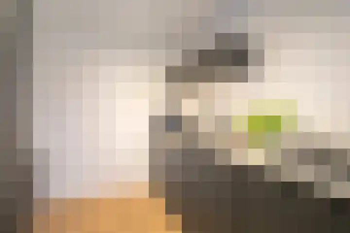 Klein Duimpje 7 Eindhoven thumbnail 19