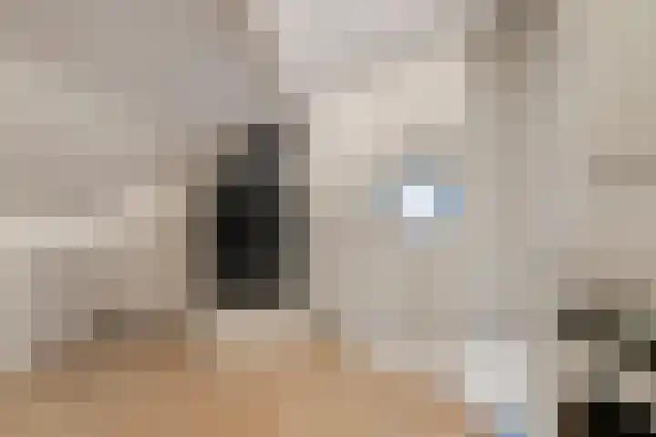 Klein Duimpje 7 Eindhoven thumbnail 32