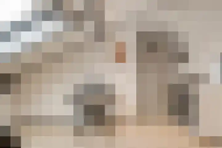 Klein Duimpje 7 Eindhoven thumbnail 34
