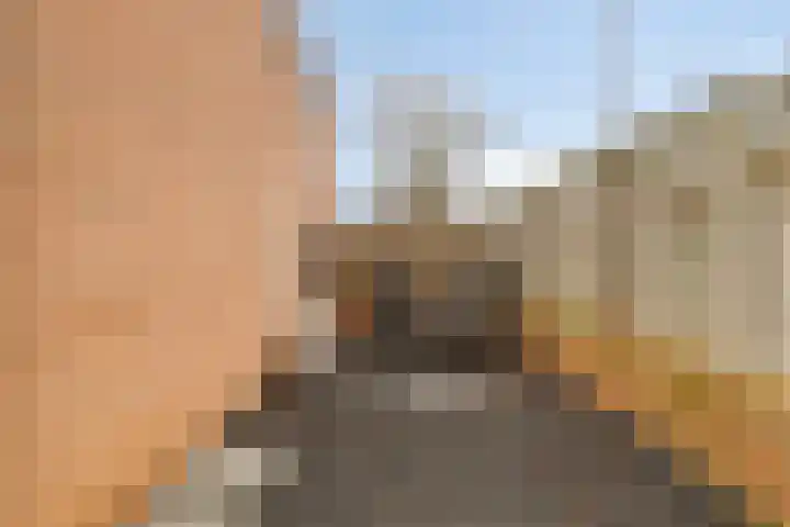 Klein Duimpje 7 Eindhoven thumbnail 36