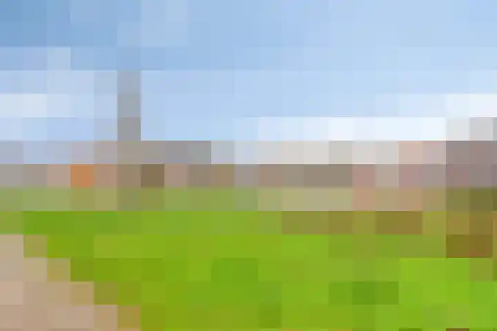 Klein Duimpje 7 Eindhoven thumbnail 39