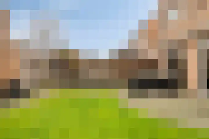 Klein Duimpje 7 Eindhoven thumbnail 5