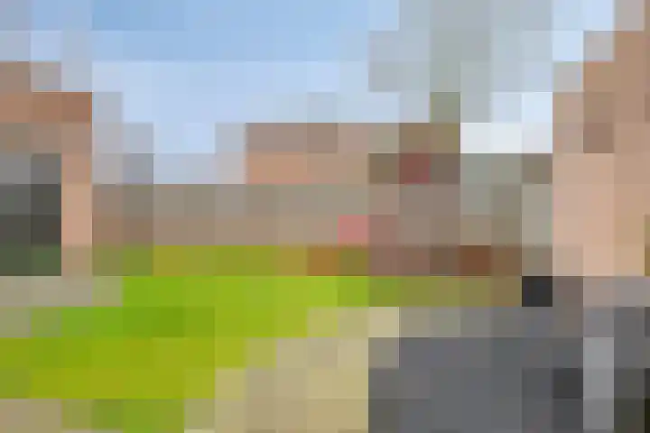 Klein Duimpje 7 Eindhoven thumbnail 6