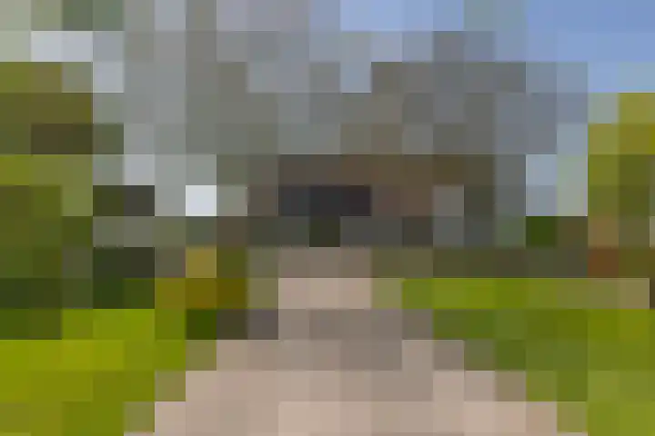 Klein Moorst 14 Woudenberg thumbnail 30