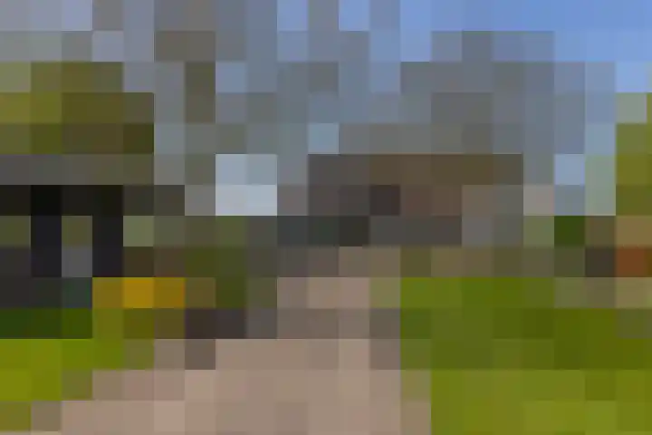 Klein Moorst 14 Woudenberg thumbnail 31