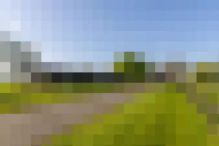 Klein Moorst 14 Woudenberg thumbnail 32