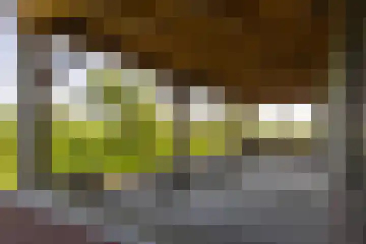 Klein Moorst 14 Woudenberg thumbnail 35