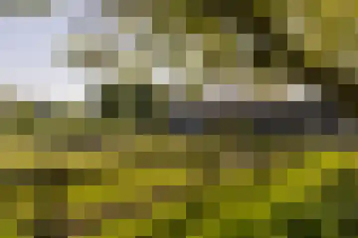 Klein Moorst 14 Woudenberg thumbnail 41