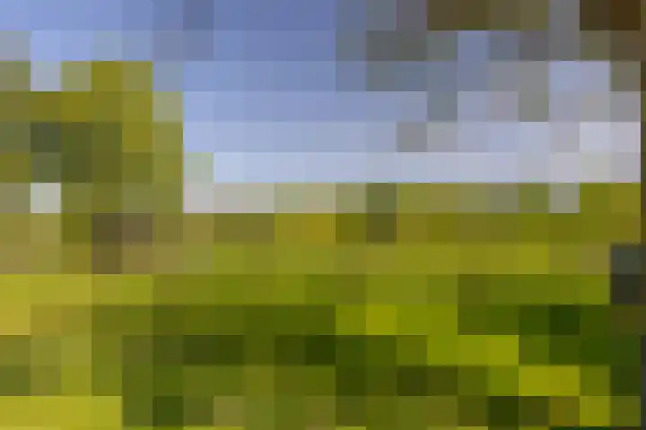 Klein Moorst 14 Woudenberg thumbnail 42